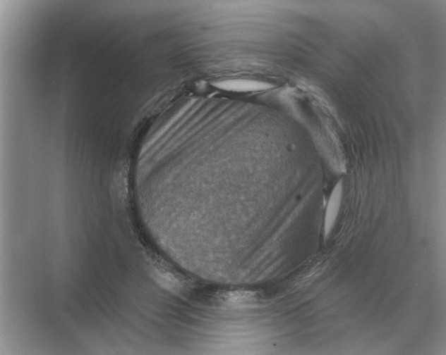 X0000074340501200609230122