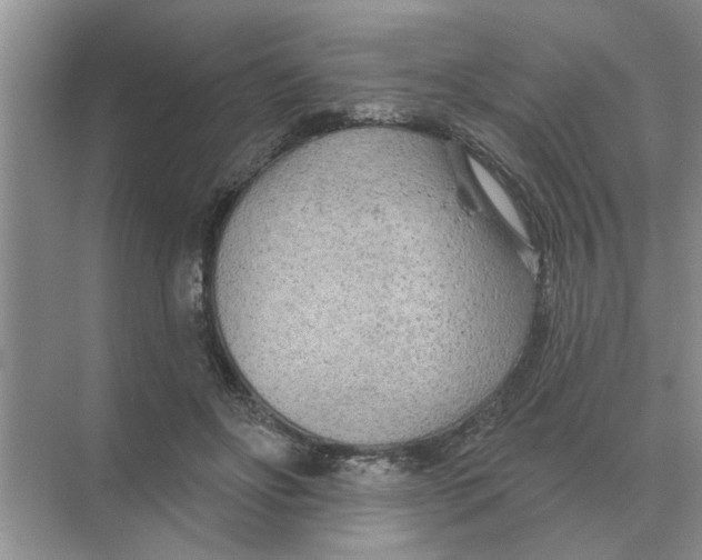 X0000074340502200609230122