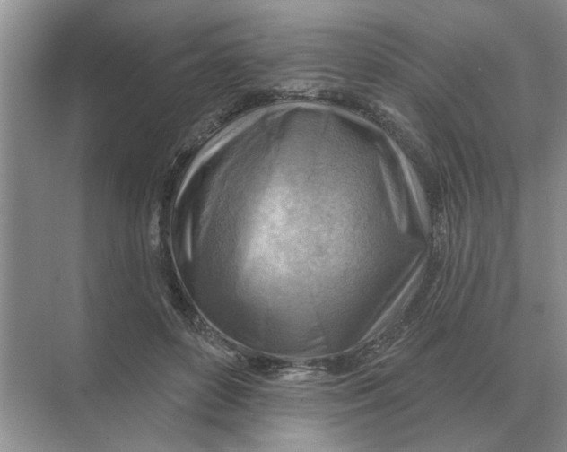 X0000074340504200609230122