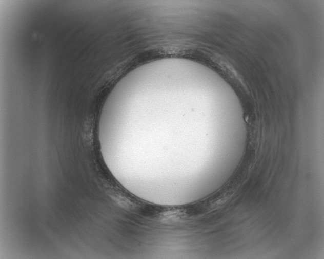 X0000074340505200609230122