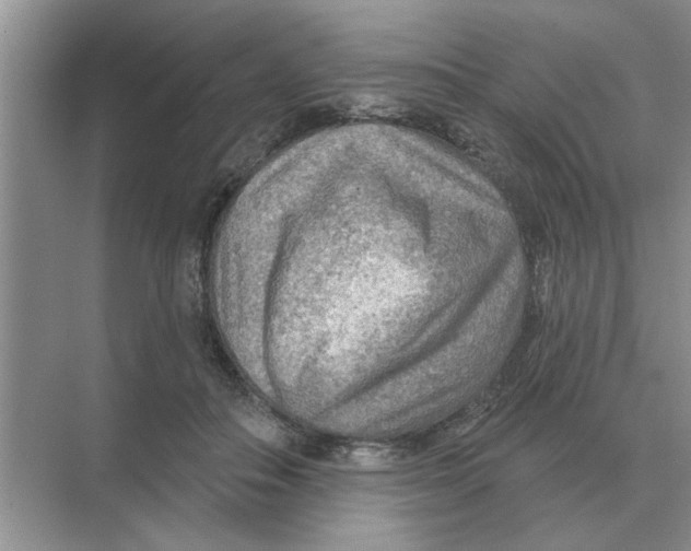 X0000074340506200609230121