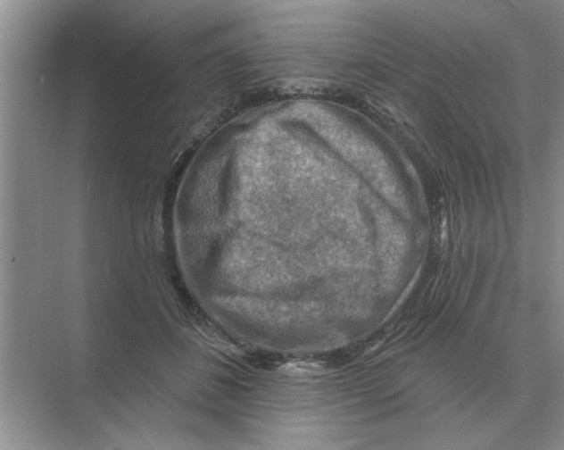 X0000074340508200609230121