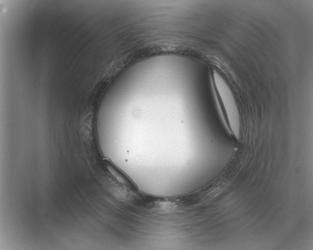 X0000074340509200609230121