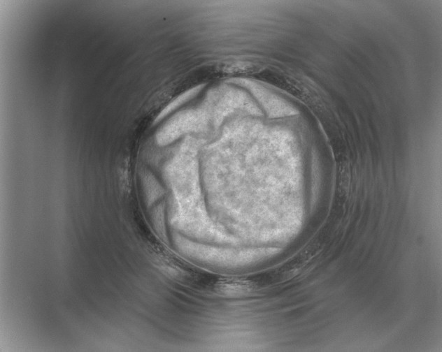 X0000074340510200609230121