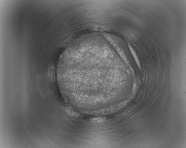 X0000074340511200609230121