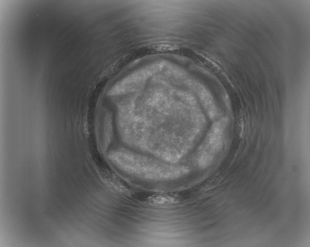 X0000074340512200609230121