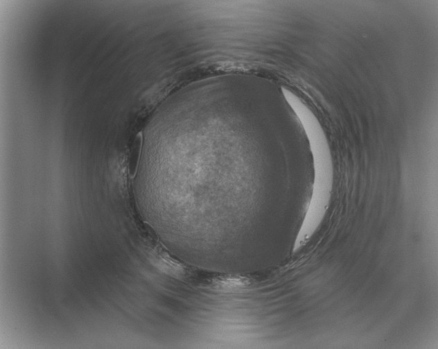 X0000074340513200609230121