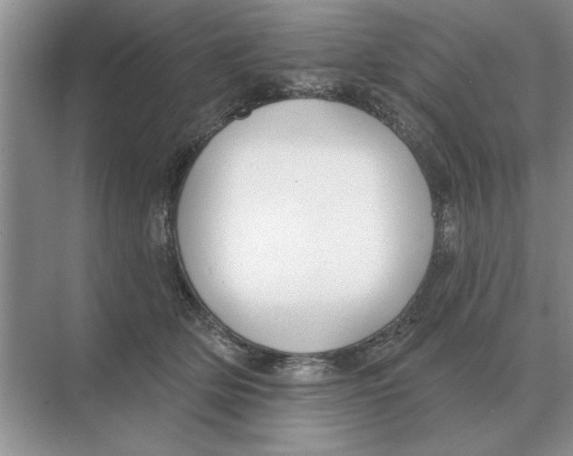 X0000074340514200609230121