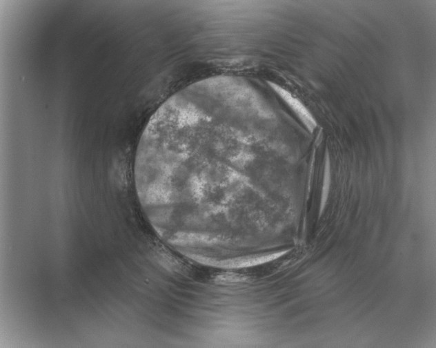 X0000074340515200609230121