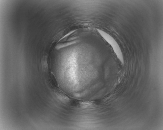 X0000074340516200609230121