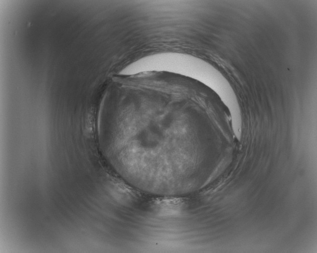 X0000074340517200609230121