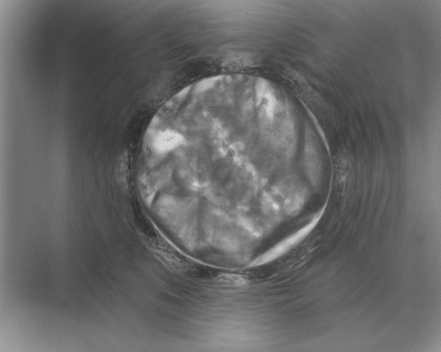 X0000074340519200609230121