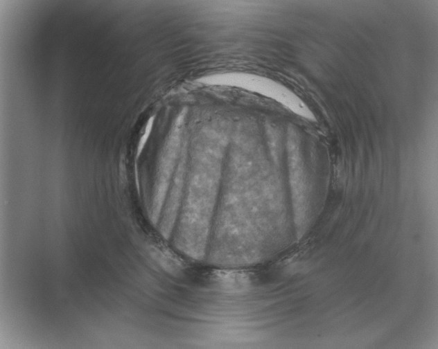 X0000074340520200609230121