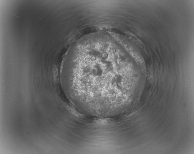 X0000074340523200609230121