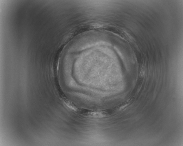 X0000074340524200609230121