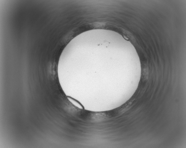 X0000074340525200609230121