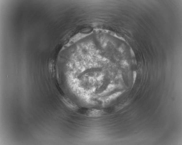 X0000074340527200609230121