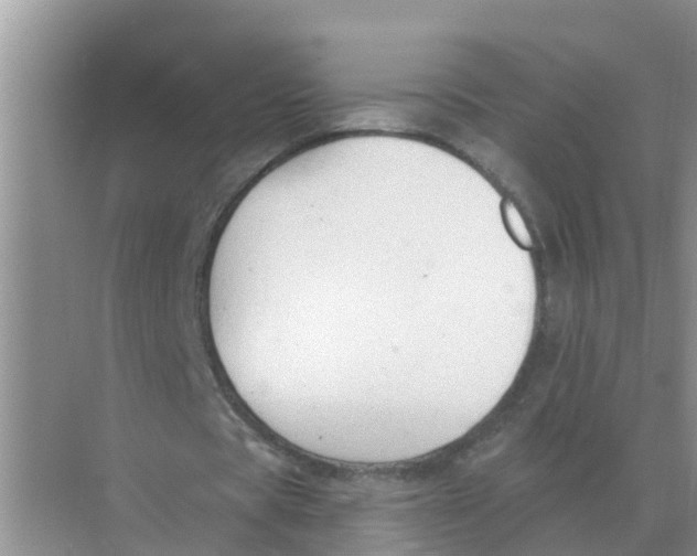 X0000074340529200609230120