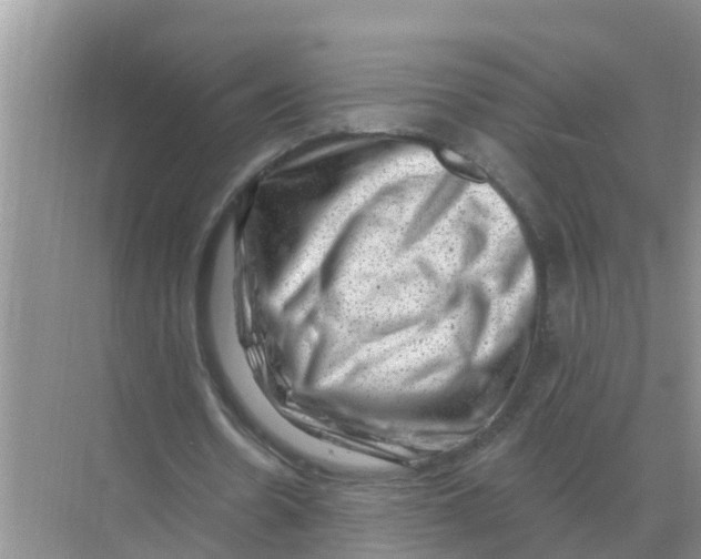 X0000074340530200609230120