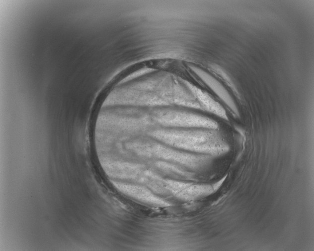 X0000074340532200609230120