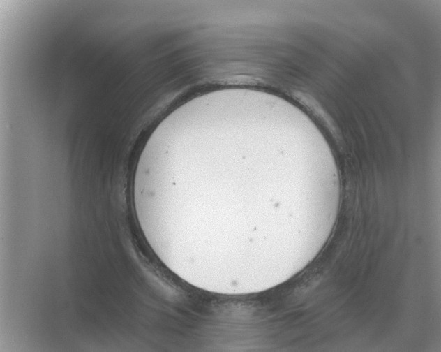 X0000074340533200609230120