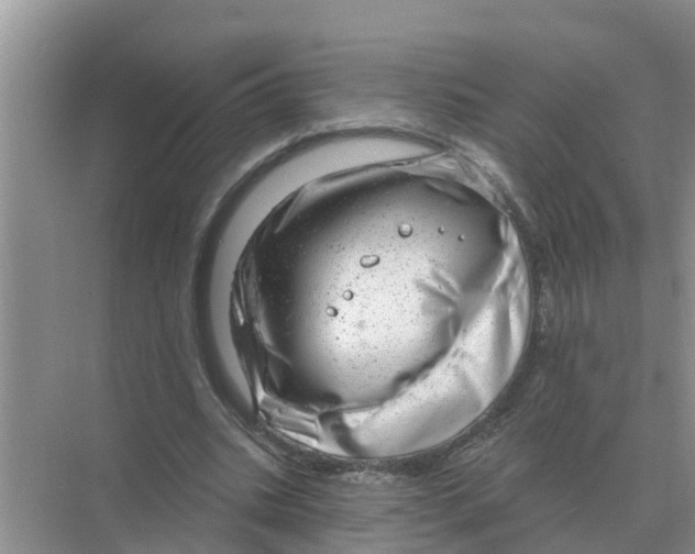 X0000074340535200609230120