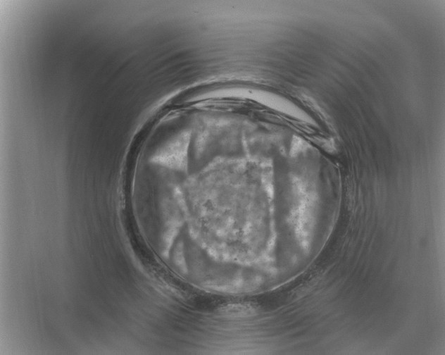 X0000074340536200609230120