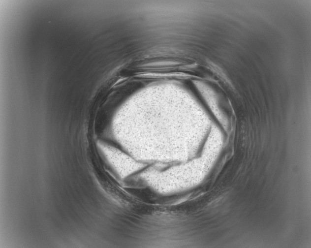 X0000074340538200609230120