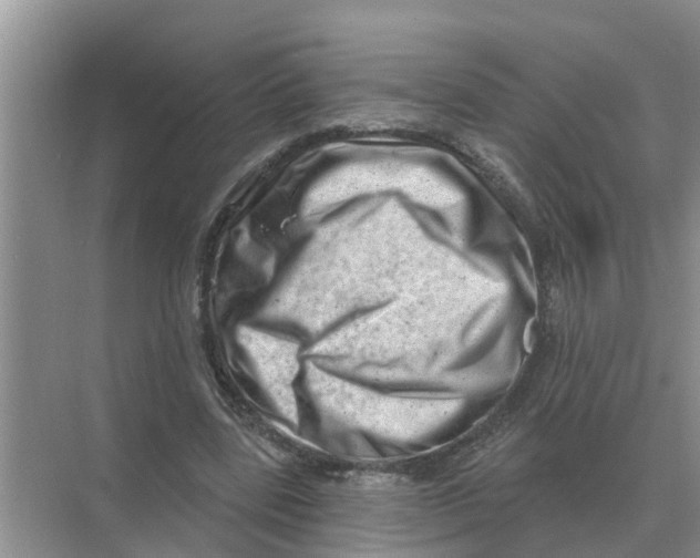 X0000074340539200609230120