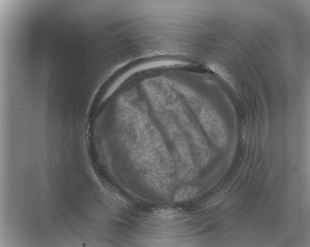 X0000074340540200609230120