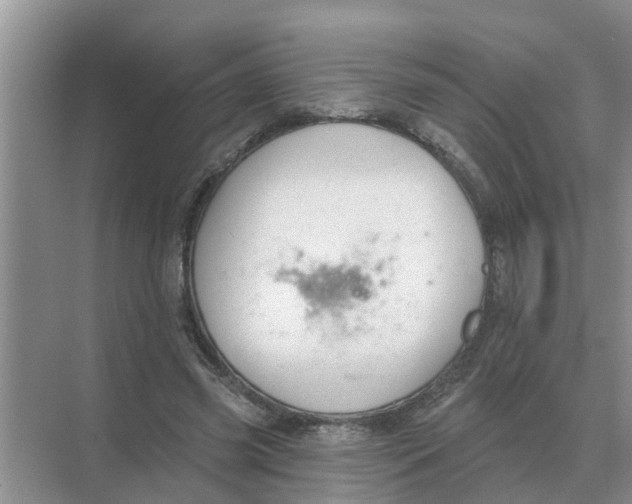 X0000074340541200609230121