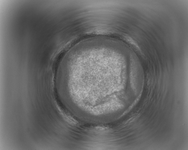 X0000074340542200609230121