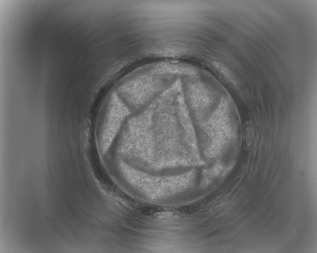 X0000074340544200609230121