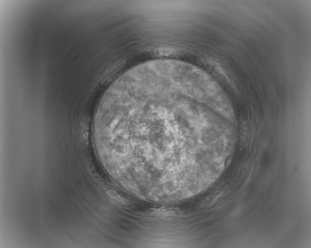 X0000074340545200609230121