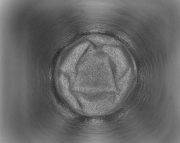 X0000074340546200609230121