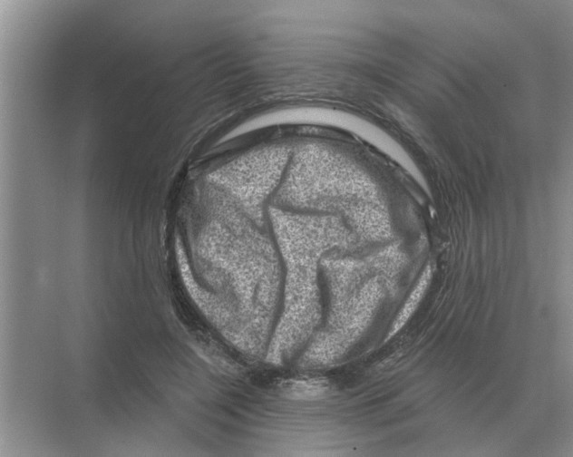 X0000074340548200609230121