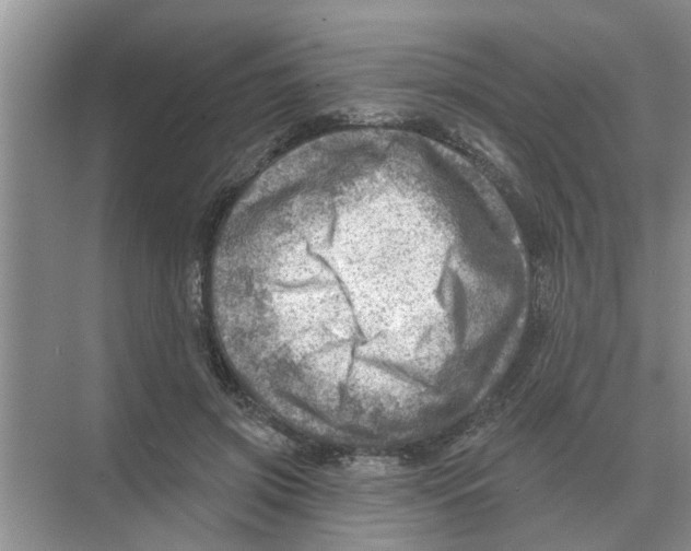 X0000074340549200609230121