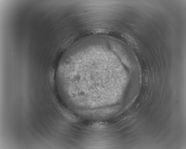 X0000074340550200609230121