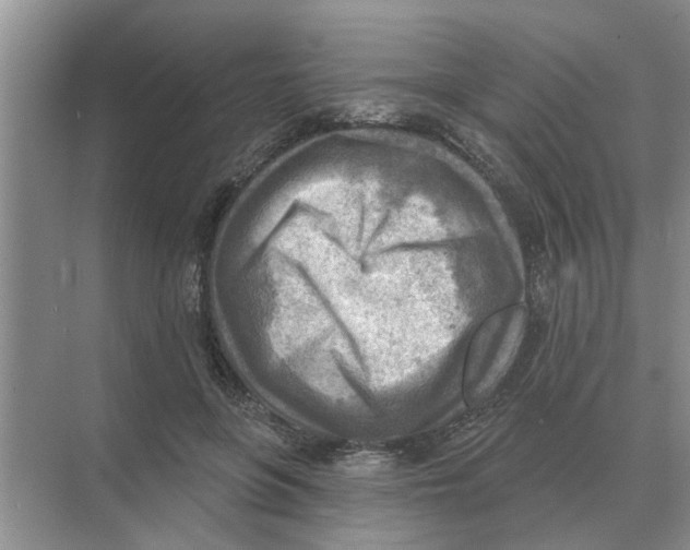 X0000074340551200609230121