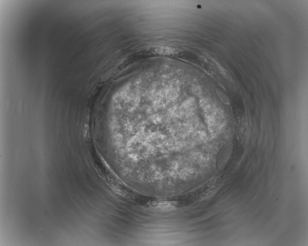 X0000074340553200609230121