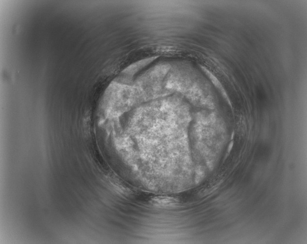 X0000074340557200609230121