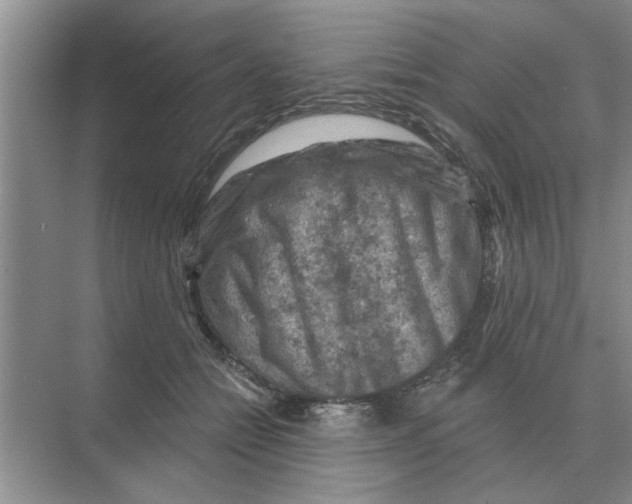 X0000074340558200609230121