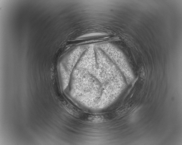 X0000074340559200609230121