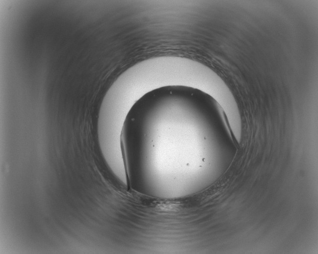 X0000074340560200609230121