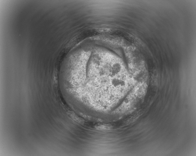 X0000074340561200609230121