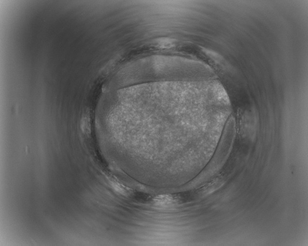 X0000074340562200609230121