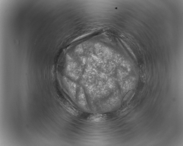 X0000074340563200609230121