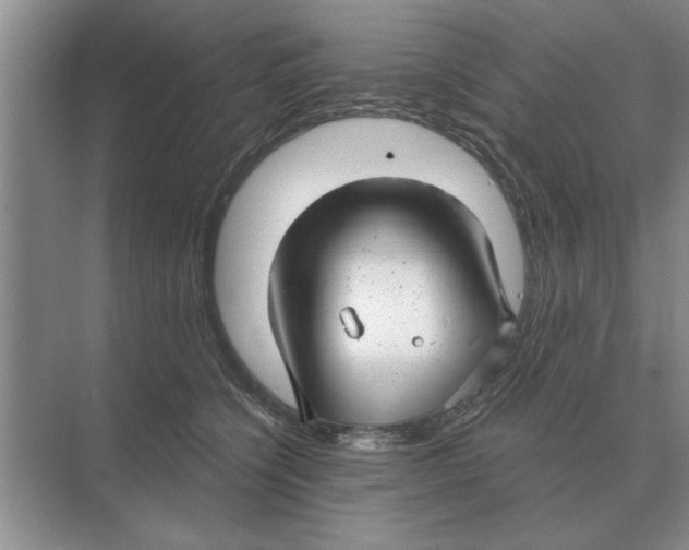 X0000074340564200609230121