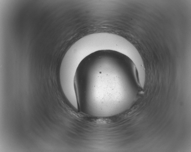 X0000074340566200609230121