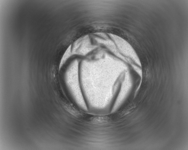 X0000074340567200609230121